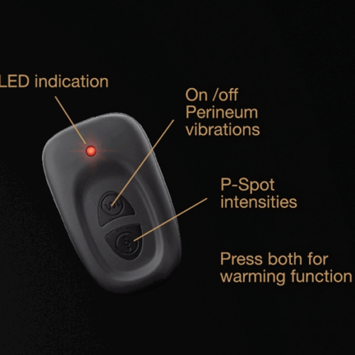 DORCEL P-SWING