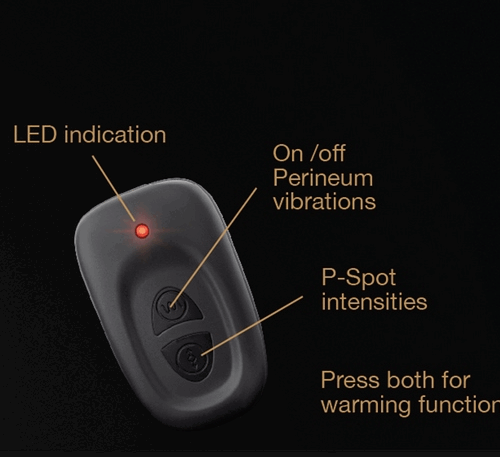 DORCEL P-STROKER