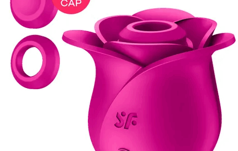 SATISFYER PRO 2 MODERN BLOSSOM