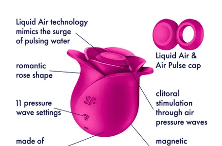 SATISFYER PRO 2 MODERN BLOSSOM