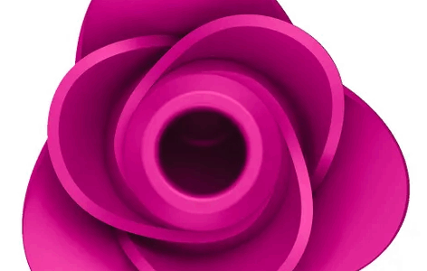 SATISFYER PRO 2 MODERN BLOSSOM