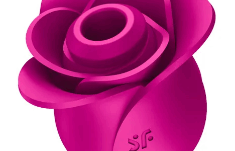 SATISFYER PRO 2 MODERN BLOSSOM