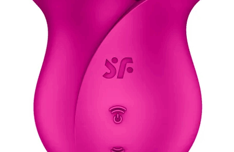 SATISFYER PRO 2 MODERN BLOSSOM