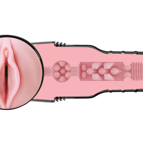 FLESHLIGHT PINK LADY DESTROYA